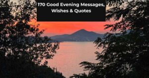 170 Good Evening Messages, Wishes & Quotes
