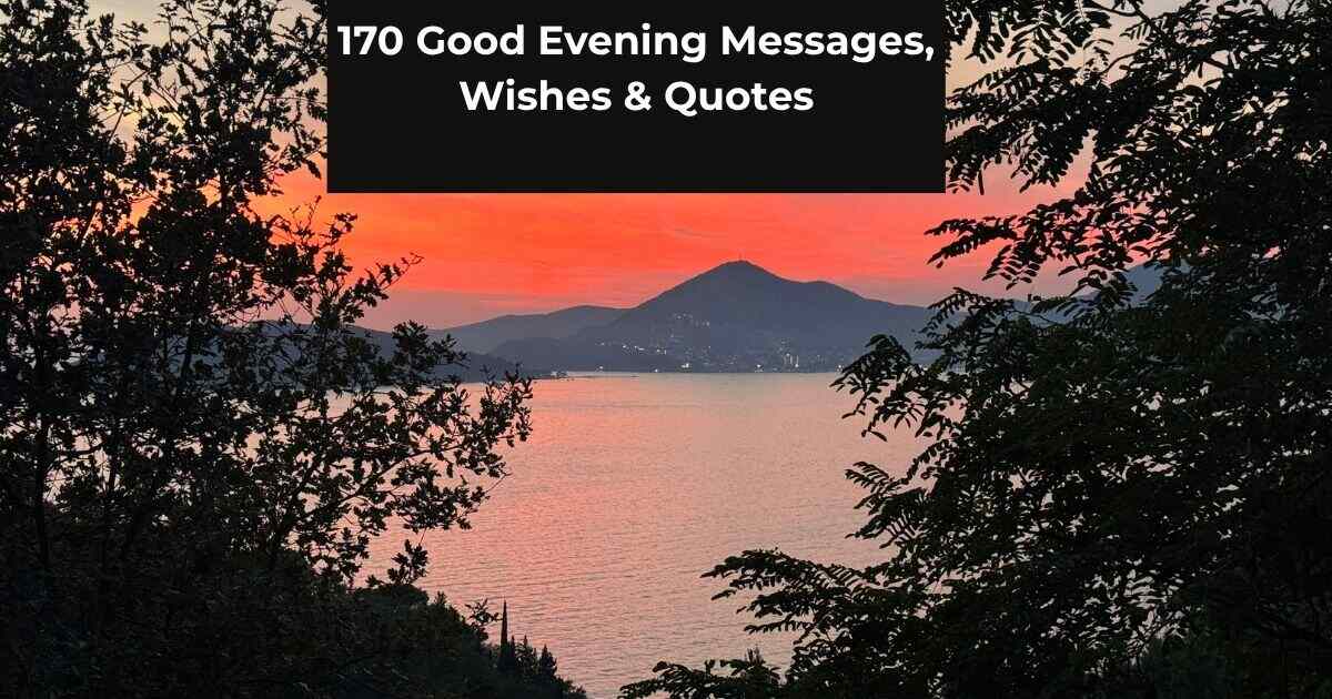 170 Good Evening Messages, Wishes & Quotes